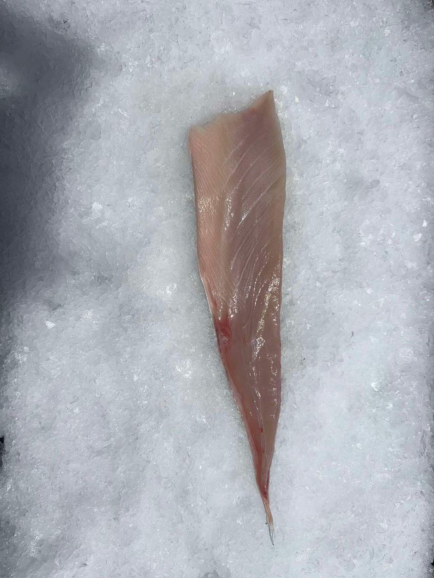 KINGFISH SASHIMI BELLY LOIN