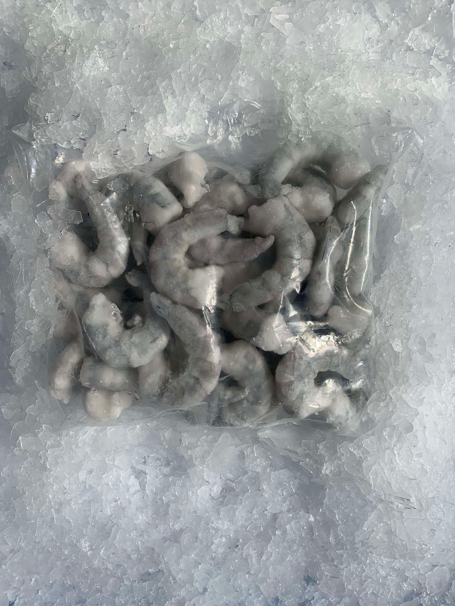 RAW PRAWN MEAT (PEELED) – Kirkbright Seafood