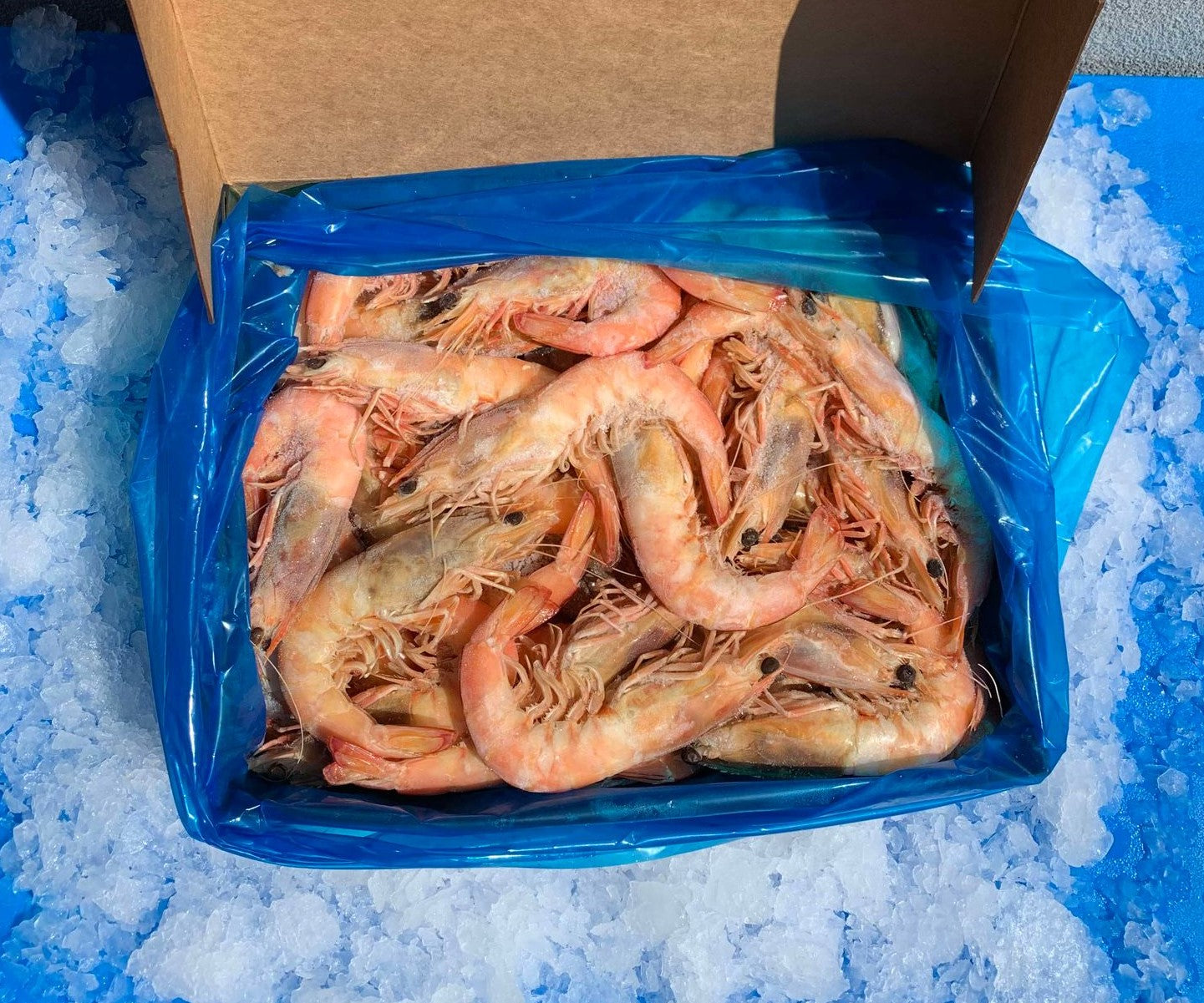 WHOLE COOKED SA KING PRAWNS - 5KG BOX PURCHASES. (10-20% DISCOUNT PER KG FOR BOXED PURCHASES. DISCOUNT VARIES DEPENDING ON PRAWN SIZE  AND ARE ALREADY APPLIED TO THE PRICES BELOW)