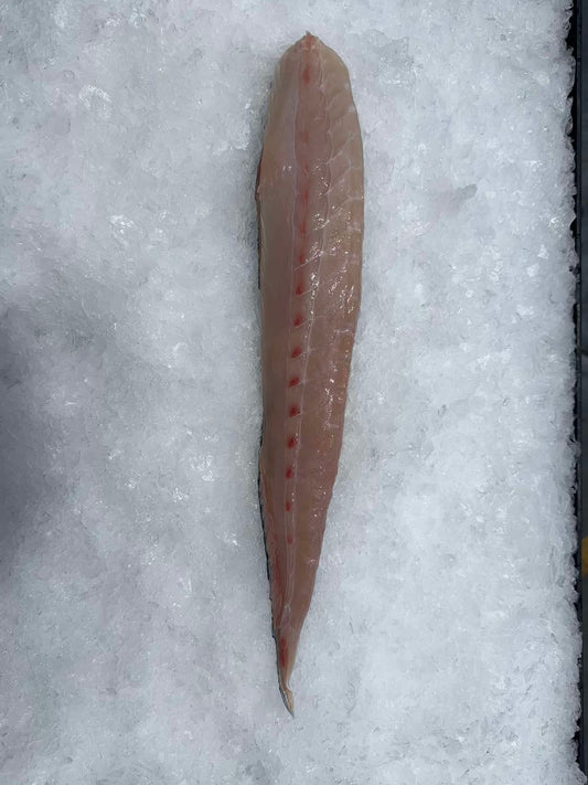 KINGFISH SASHIMI SHOULDER LOIN